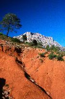 Illustration - Provence