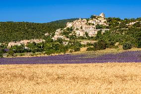 Illustration - Provence