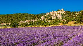 Illustration - Provence