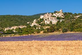 Illustration - Provence
