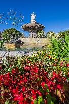 Illustration - Provence
