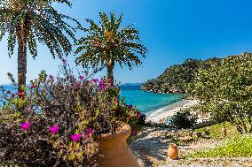 Illustration - Provence