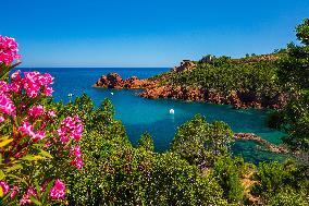 Illustration - Provence