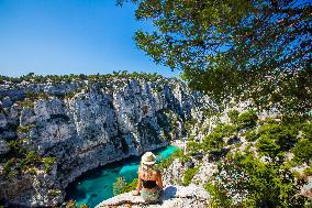 Illustration - Provence