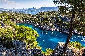 Illustration - Provence