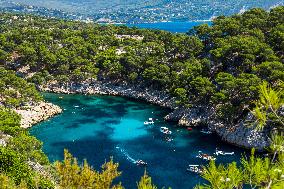 Illustration - Provence