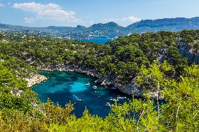 Illustration - Provence