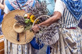 Illustration - Provence
