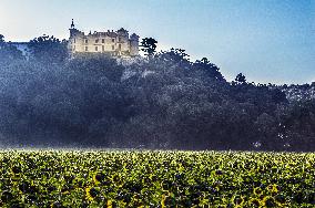 Illustration - Provence