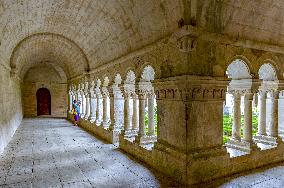 Illustration - Provence