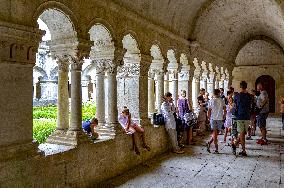 Illustration - Provence