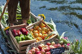 Illustration - Provence Food