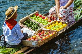 Illustration - Provence Food