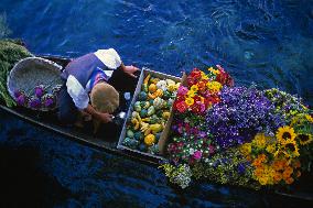 Illustration - Provence Food