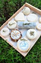 Illustration - Provence Food