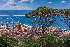 Illustration - St Tropez