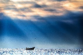 Illustration - French Riviera