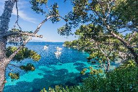 Illustration - French Riviera