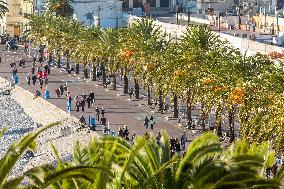 Illustration - French Riviera