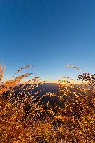 Illustration - French Riviera