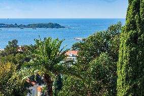 Illustration - French Riviera