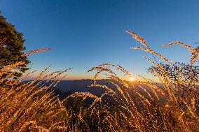 Illustration - French Riviera