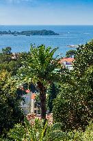 Illustration - French Riviera