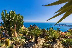 Illustration - French Riviera