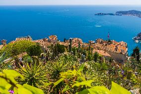Illustration - French Riviera