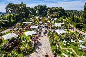 Illustration - French Riviera