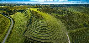 Illustration - Aerial View of France