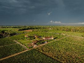 Illustration - Aerial View of France