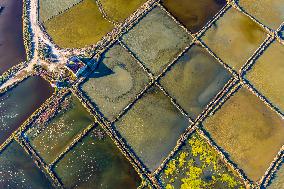 Illustration - Aerial View of France