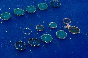 Illustration - Aerial View of France