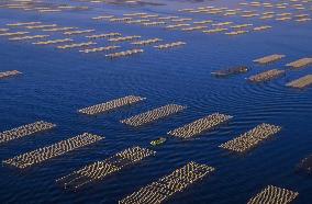 Illustration - Aerial View of France
