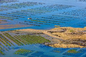 Illustration - Aerial View of France