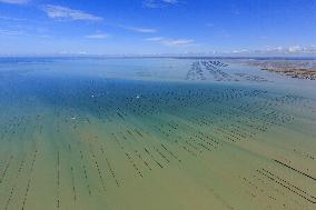 Illustration - Aerial View of France