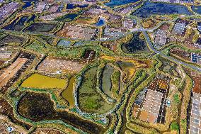 Illustration - Aerial View of France