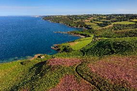 Illustration - Aerial View of France