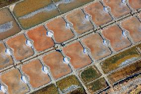 Illustration - Aerial View of France