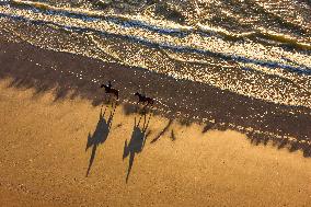 Illustration - Aerial View of France