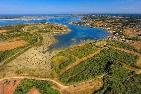 Illustration - Aerial View of France
