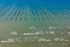Illustration - Aerial View of France