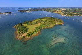 Illustration - Aerial View of France