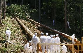Tree-felling rite in central Japan