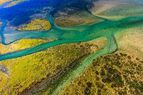 Illustration - Aerial View of France