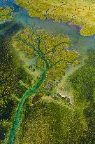 Illustration - Aerial View of France
