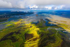 Illustration - Aerial View of France