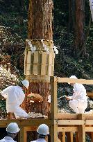 Tree-felling rite in central Japan