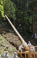 Tree-felling rite in central Japan